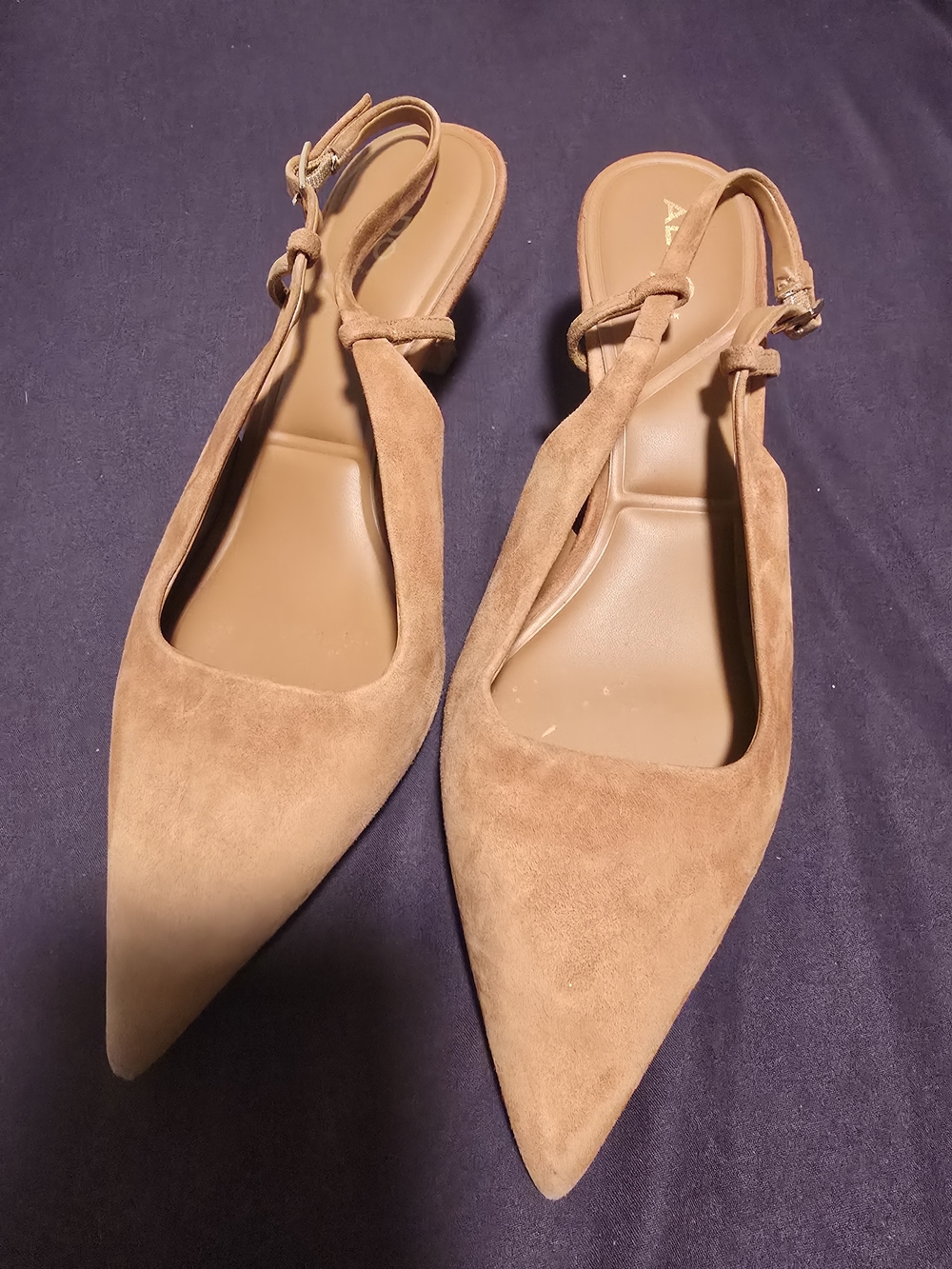 Aldo Pointed-Toe Slingback Heels in Tan Suede